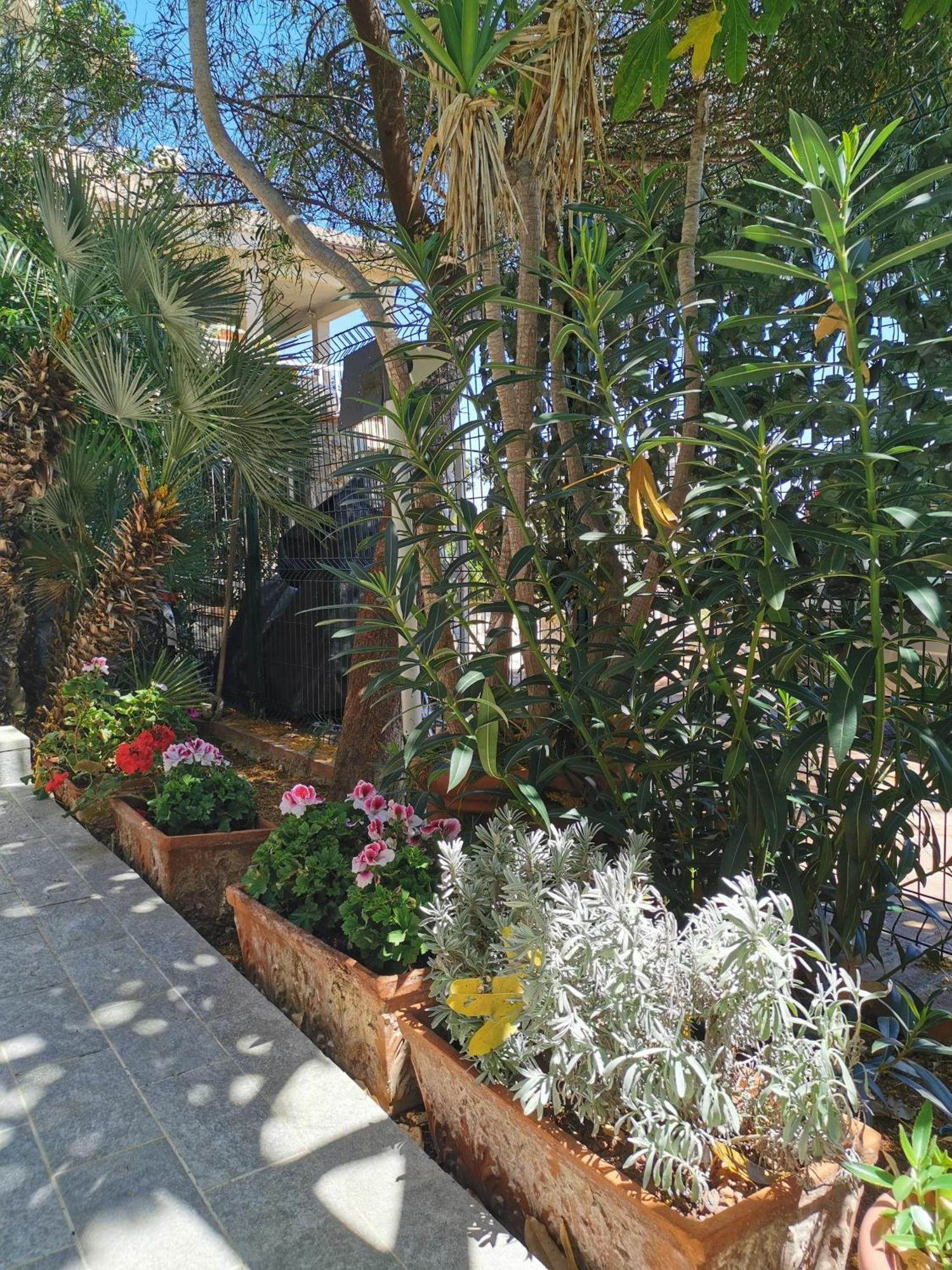 Panorama Apartment Addaura Palermo Dış mekan fotoğraf